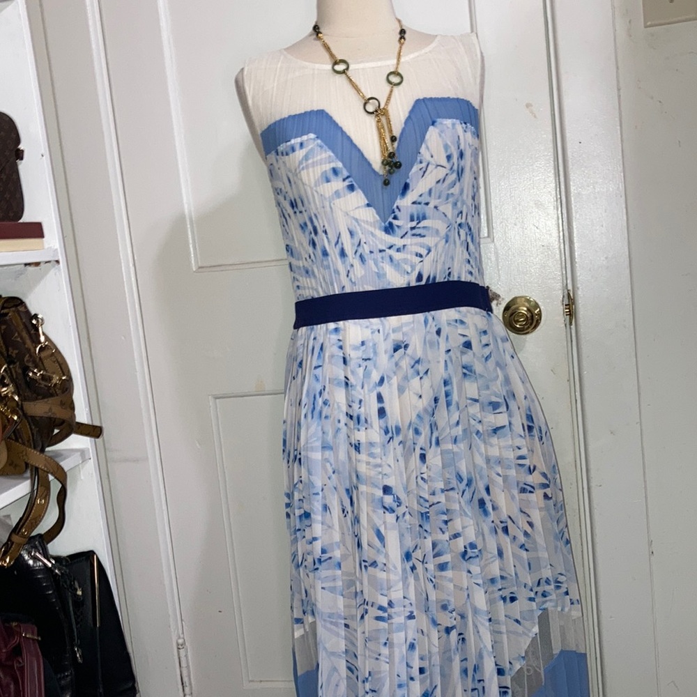 ⭐️BCBG  Katherine Pleated Sheer Maxi Dress⭐️